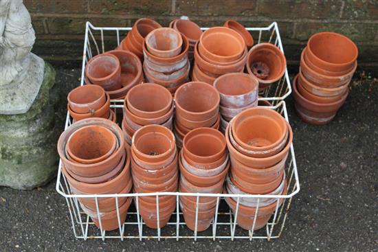 Large qty of terracotta pots